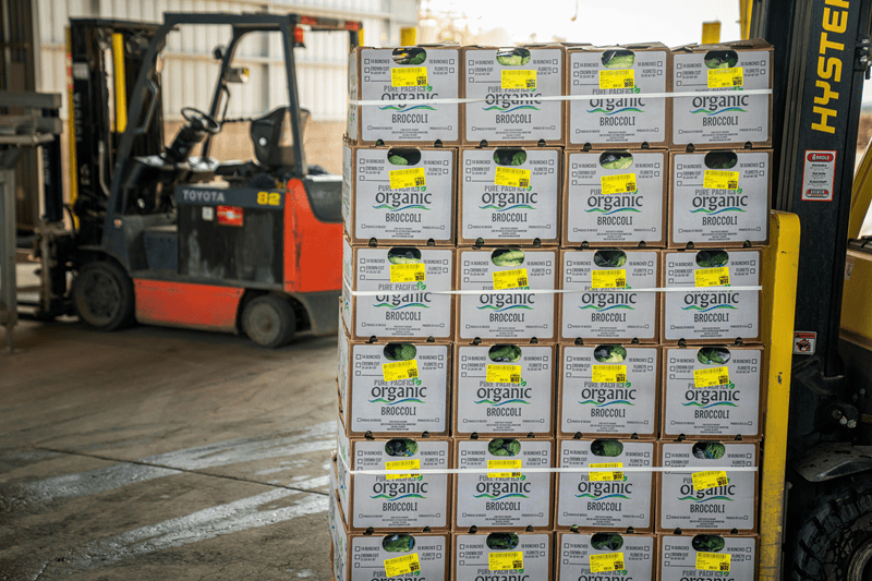Inventory Visibility can be overcome with See how ERP inventory system