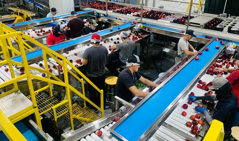 Dynamics 365 For Food Distribution Food Distribution ERP